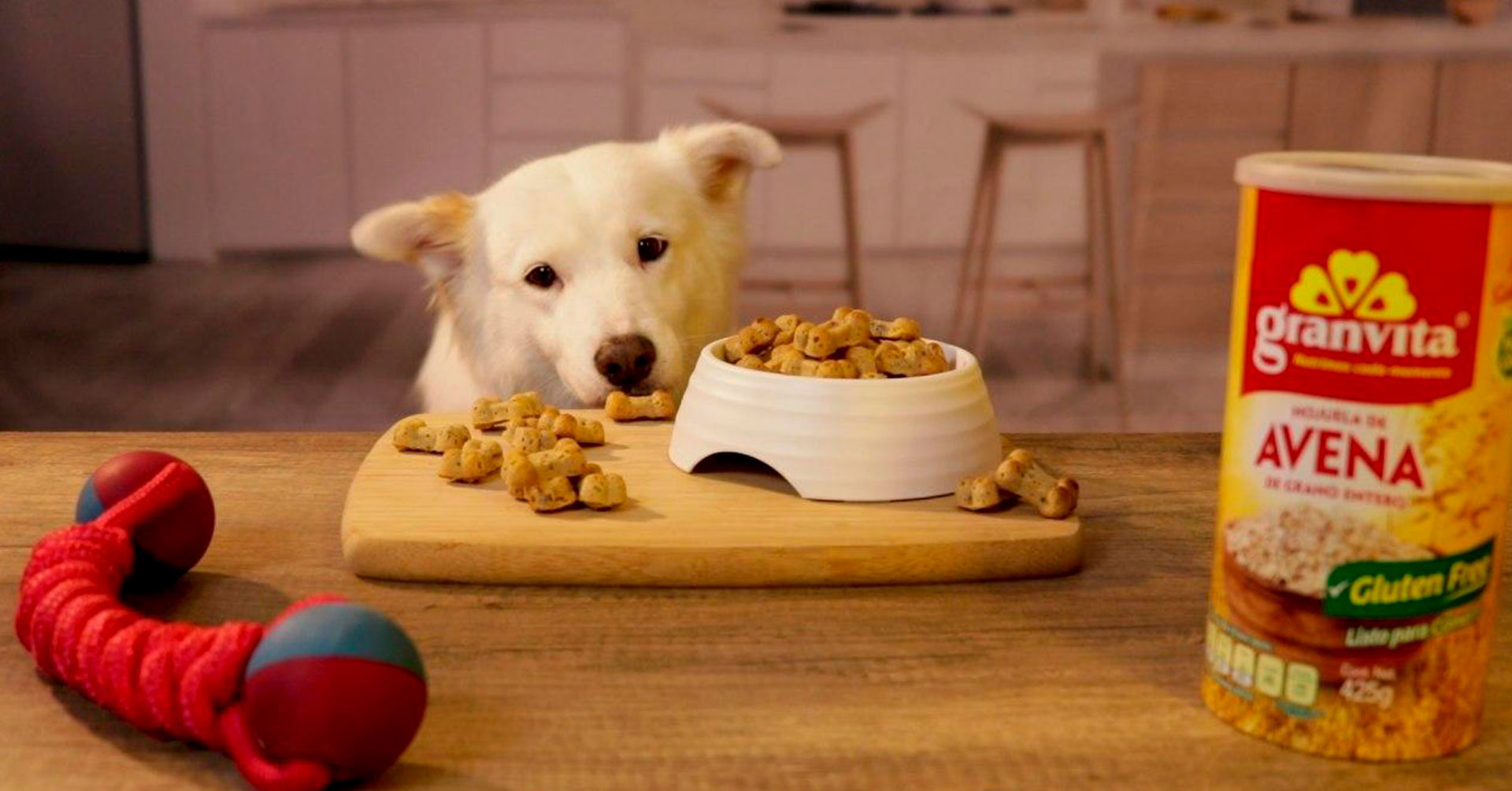 Aprende a cocinar premios para perros